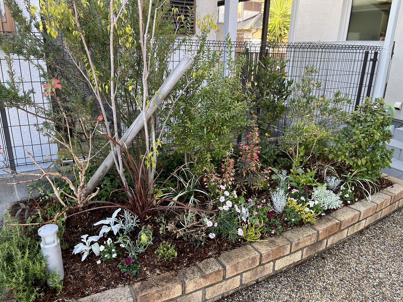 今年最後の植栽メンテナンス✨ 画像