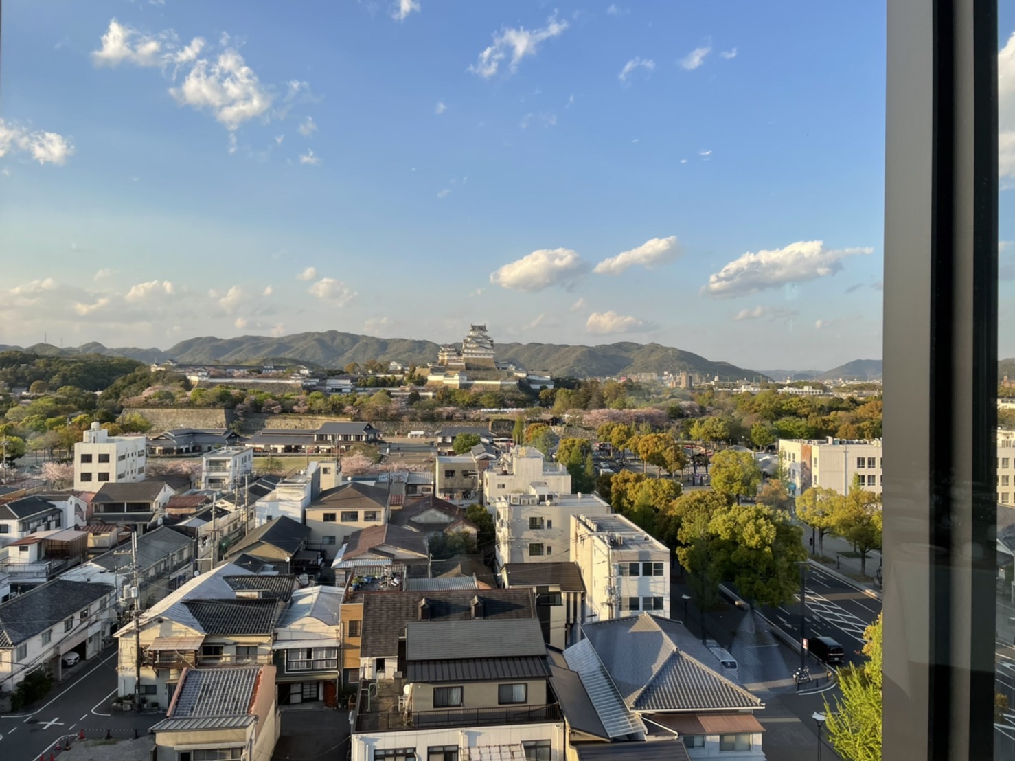 いろはのお花見会 アイキャッチ画像