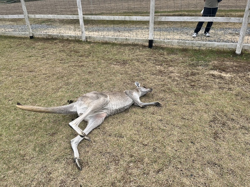 岡山に行ってきました🚙 画像