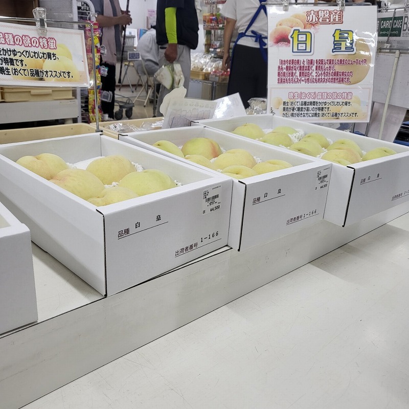 桃を求めて岡山へ アイキャッチ画像
