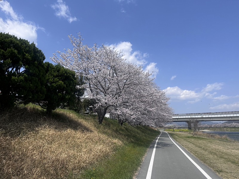 休憩時間に🌸 アイキャッチ画像