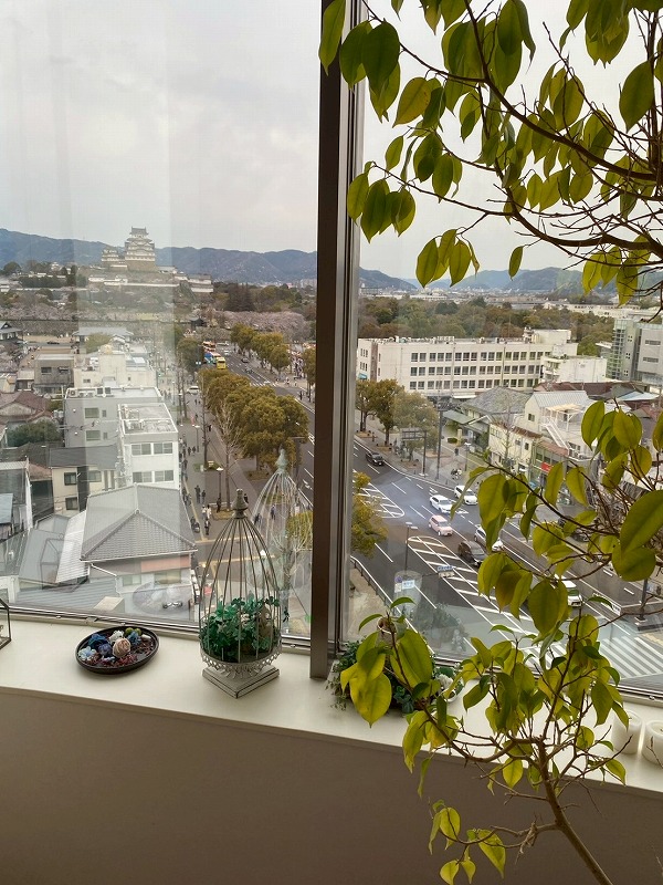 お花見会に初参加！ アイキャッチ画像