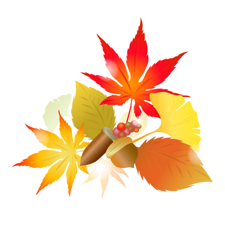 久しぶりの再会ランチと、秋の心地よさ