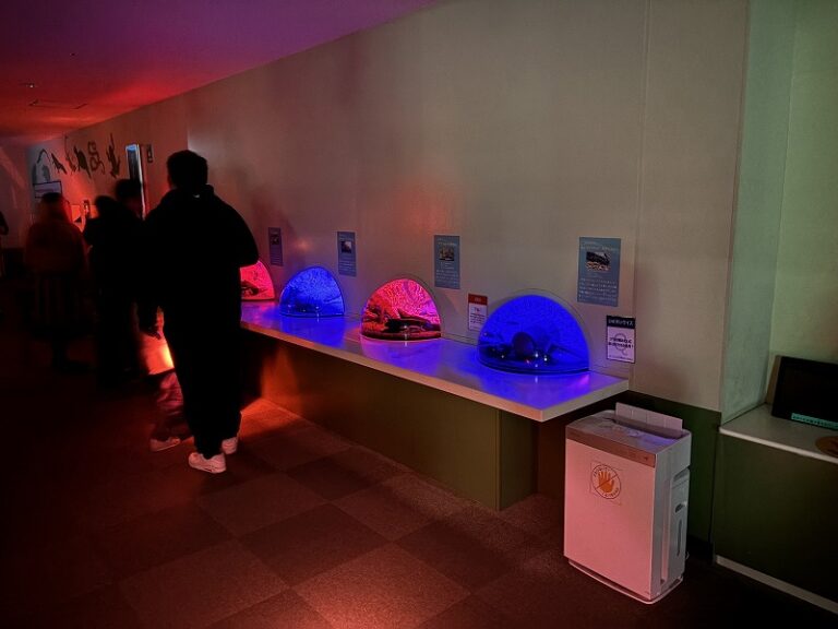 夜の水族館ってこんなに楽しい！ひめすいナイト体験記