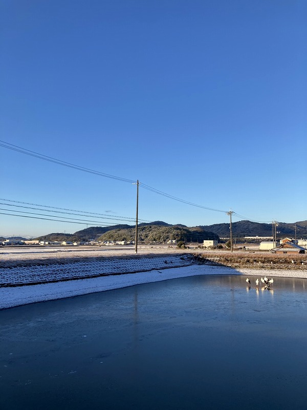 雪に覆われた田園風景と凍った水辺に立つコウノトリが、自然との共生や土地探しの静かな情景を映している。