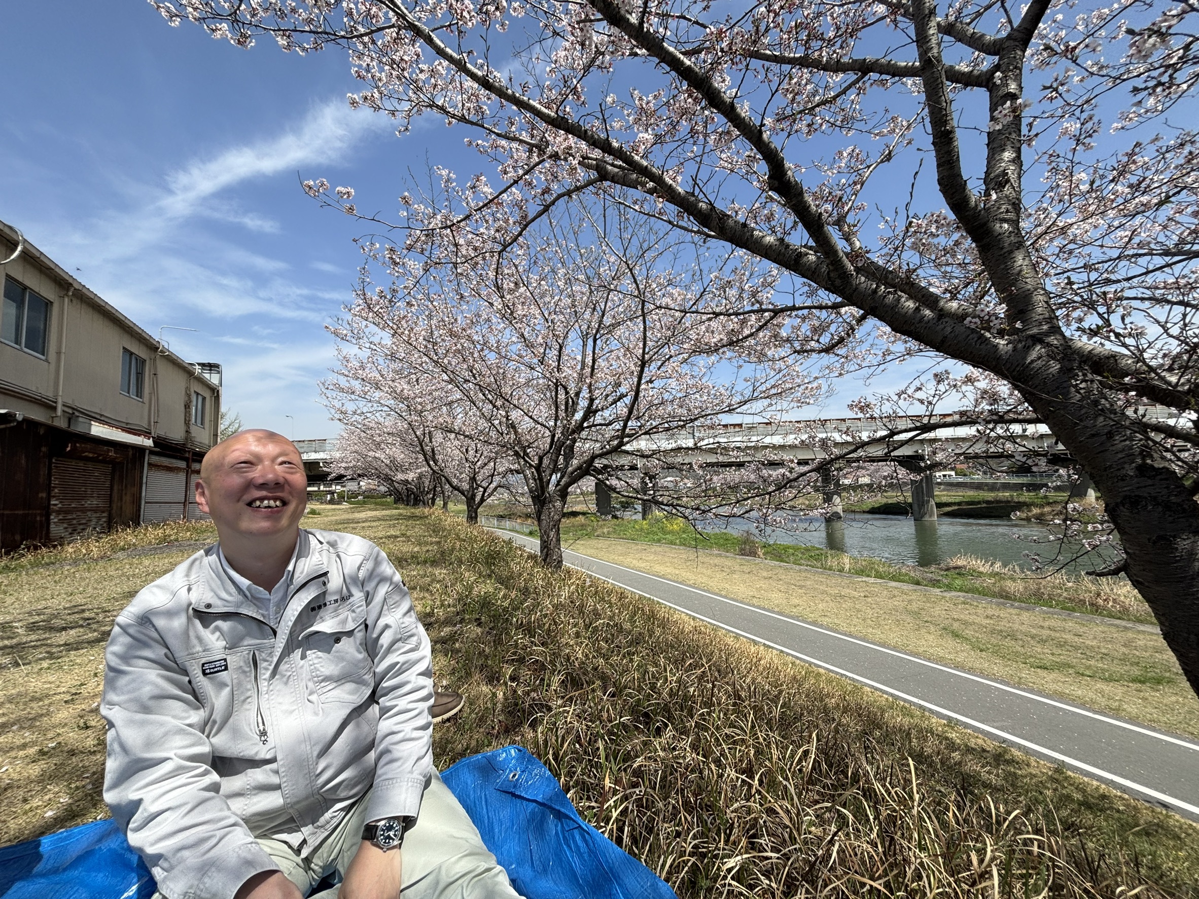 満開の桜が並ぶ川沿いの堤防で、ブルーシートに座り笑顔で花見を楽しむ作業服姿のスタッフ。青空と穏やかな川の流れを背景にした、春の現場周辺の和やかな風景。